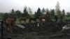 Horses pass a crater left by a missile on an abandoned horse farm in Avdiyivka in Ukraine's eastern Donetsk region.