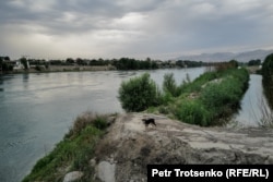 Сирдарё. Хўжанд. Тожикистон, Сўғд вилояти. 16 июнь, 2024 йил.