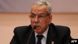 Electoral commission chief Faruq Sultan announced the results at a press conference in Cairo on May 28.