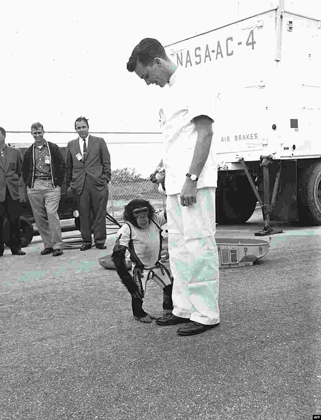 U.S. astronaut Alan Shepard is photographed with Ham, a&nbsp;chimpanzee who preceded him in space, with a 16 minute sub-orbital flight aboard the &quot;Mercury Redstone&quot; rocket in 1961.