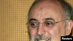 Ali Akbar Salehi previously headed Iran's Atomic Energy Organization.