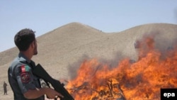 A policeman oversees the destruction of narcotics in Afghanistan, the world's top opium producer