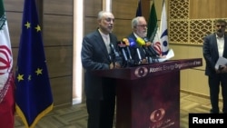 Iran's nuclear chief, Ali Akbar Salehi (left), speaks during a joint press conference with European Commissioner for Energy and Climate Miguel Arias Canete in Tehran on May 19.