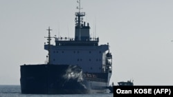 A cargo ship loaded with grain being inspected in the anchorage area of the southern entrance to the Bosphorus in Istanbul. (file photo)