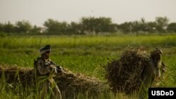 A U.S. Marine walks behind an Afghan farmer in the Garmsir district of Helmand Province.