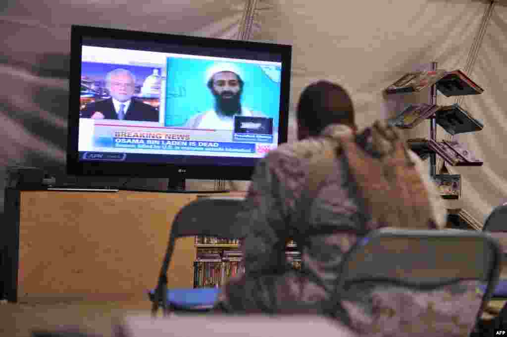 U.S. Marines in Helmand Province watch the television announcement of the death of Osama Bin Laden on May 2, 2011, at the hands of U.S. forces.