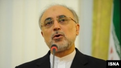 Iranian Foreign Minister Ali Akbar Salehi