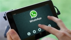 WhatsApp арқылы терроризмді насихаттаған