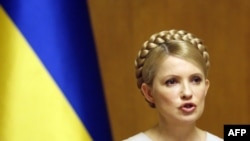 Ukrainian Prime Minister Yulia Tymoshenko speaks at a cabinet meeting in Kyiv on February 11.