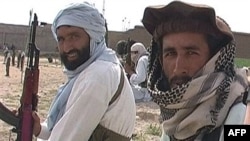 Taliban loyalists in Pakistan's tribal region