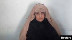 Sharbat Gula