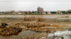 A site in the southern Iranian city of Ahvaz that is believed to be a mass grave of victims killed in extrajudicial executions in 1988. (file photo)